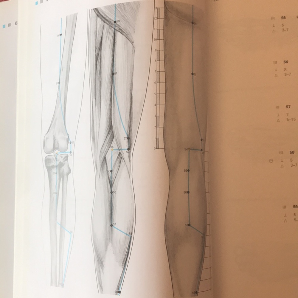 Traditional Chinese ACUPUNCTURE hardback lrge illustrated book newish dustcover - Picture 4 of 12